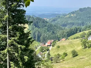 Ferienhaus für 6 Personen (125 m²) in Hasel