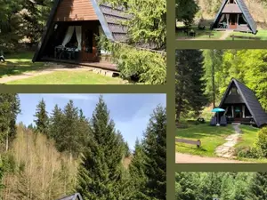 Ferienhaus für 4 Personen (52 m²) in Lautenthal