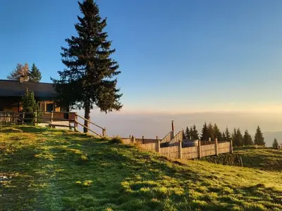 Ferienhaus für 8 Personen (85 m²) in Steinfeld 1/10