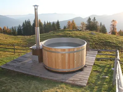 Ferienhaus für 8 Personen (85 m²) in Steinfeld 4/10