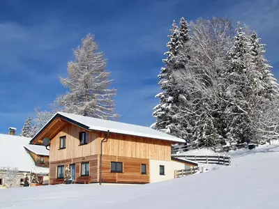 Ferienhaus für 8 Personen (110 m²) in Kamperkogel 2/10