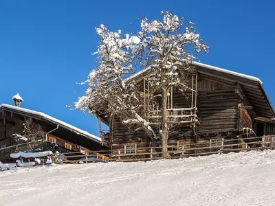 Ferienhaus für 5 Personen (50 m²) in Hofmarkt 4/10