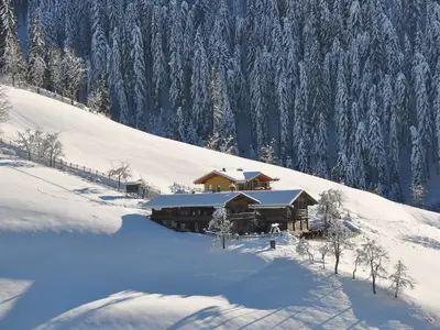 Ferienhaus für 5 Personen (50 m²) in Hofmarkt 5/10