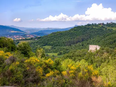 Ferienhaus für 8 Personen (160 m²) in Poppi 7/10