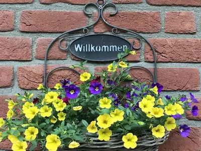 Ferienhaus für 3 Personen (59 m²) in Mözen 4/10