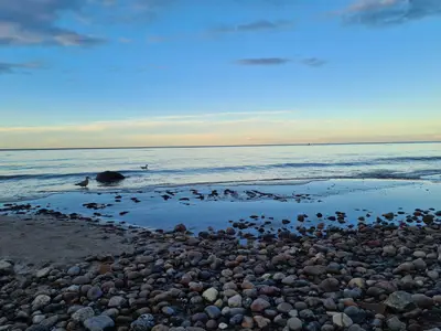 Strand von Diedrichshagen
