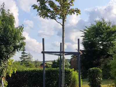 Garten zur Nachbarsseite