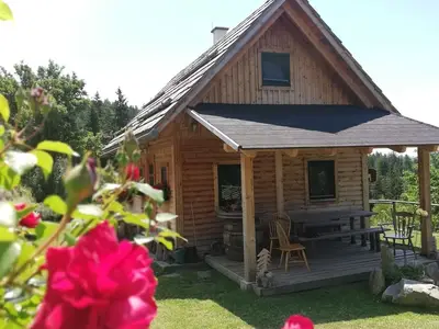 Ferienhaus für 5 Personen (75 m²) in Sankt Peter im Lavanttal 1/10