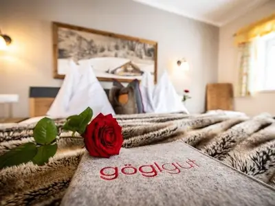 Ferienhaus für 12 Personen (180 m²) in Lammertal 3/10