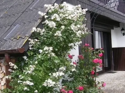 Ferienhaus für 4 Personen (76 m²) in Süssau (Heringsdorf) 4/10