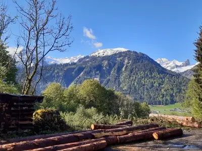 Ferienhaus für 9 Personen (170 m²) in Schoppernau 9/10