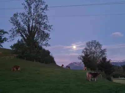 Oberallgäu Dämmerung