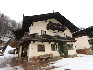 Ferienhaus für 11 Personen (200 m²) in Saalbach-Hinterglemm