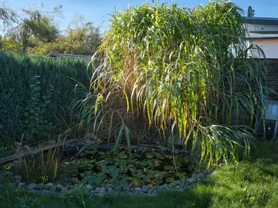 Ferienhaus für 3 Personen (46 m²) in Neeberg 4/10