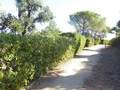 Ferienhaus für 5 Personen (47 m²) in Cogolin 6/10