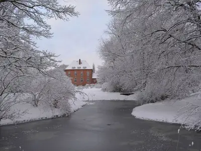 Ferienhaus für 24 Personen (800 m²) in Warnkenhagen 2/10