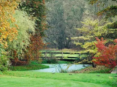 Ferienhaus für 24 Personen (800 m²) in Warnkenhagen 10/10