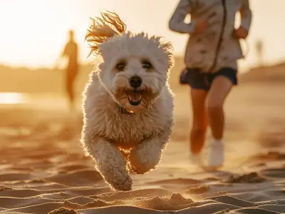 Ferienhaus für 6 Personen (120 m²) in Hohenkirchen (Ostsee) 1/10