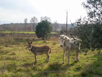 Direkte Umgebung [Sommer] (<1 km)