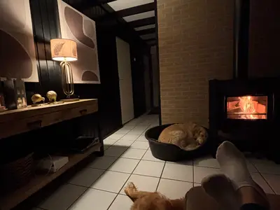 Ferienhaus für 4 Personen (68 m²) in Sint Maartensvlotbrug 10/10