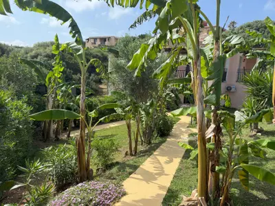 Ferienhaus für 4 Personen (70 m²) in Punta de Su Turrione 1/10