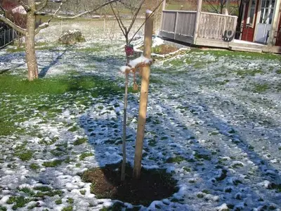 Ferienhaus für 6 Personen (130 m²) in Gößweinstein 8/10