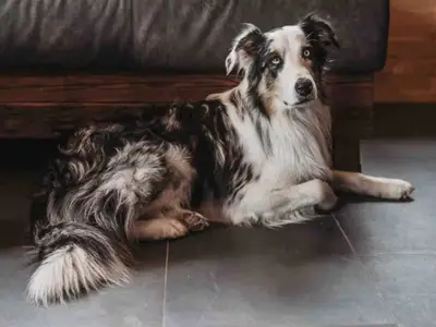 Ferienhaus für 2 Personen in Vorra 7/10