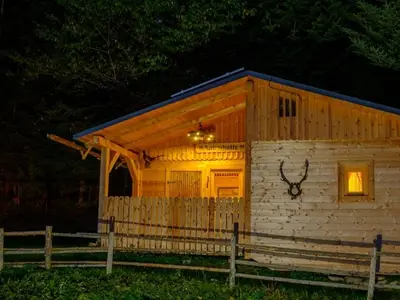 Ferienhaus für 4 Personen (42 m²) in Reichenfels 4/10