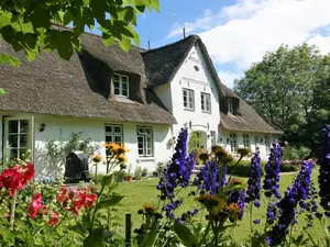 Ferienhaus für 2 Personen (23 m²) in Uelvesbüll