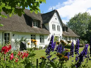 Ferienhaus für 5 Personen (72 m²) in Uelvesbüll