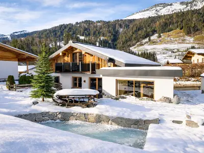 Ferienhaus für 6 Personen (110 m²) in Kirchberg in Tirol 1/10