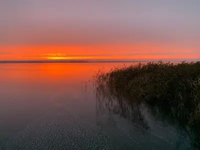 Ferienhaus für 6 Personen (155 m²) in Rankwitz 5/10