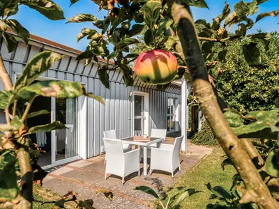Ferienhaus für 4 Personen (90 m²) in Niendorf/Ostsee 2/10