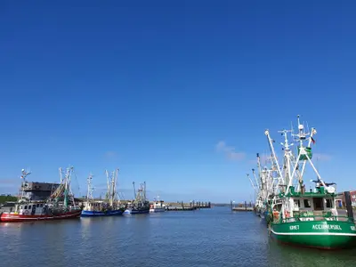 Ferienhaus für 4 Personen (60 m²) 10/10