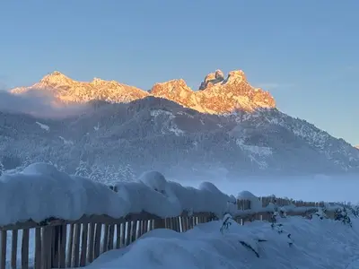 Ferienhaus für 24 Personen (320 m²) in Tannheim 4/10