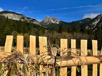 Ferienhaus für 24 Personen (320 m²) in Tannheim 10/10