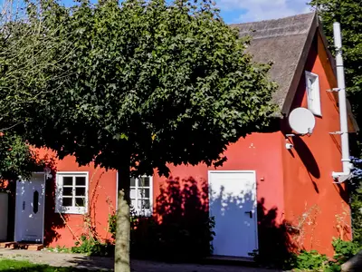 Ferienhaus für 4 Personen (82 m²) in Reestow 1/10