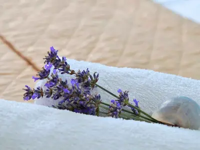 Ferienhaus für 4 Personen (60 m²) in Vela Luka 8/10