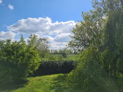 Ferienhaus für 4 Personen (70 m²) in Jade 6/10