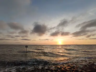 Ferienhaus für 4 Personen (75 m²) in Jade 5/10