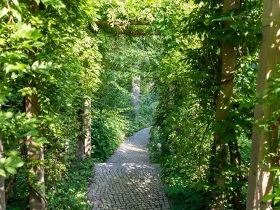 Ferienhaus für 12 Personen (999 m²) 7/10