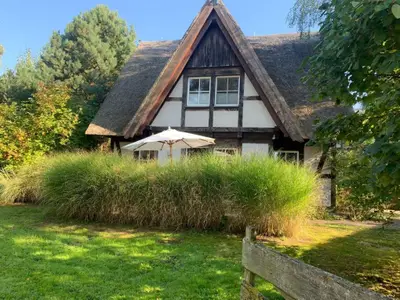 Ferienhaus für 6 Personen (114 m²) in Quilitz 7/10