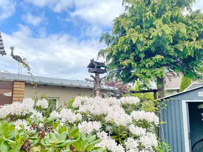 Ferienhaus für 3 Personen (60 m²) 4/10