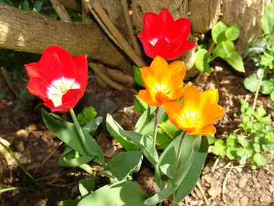 Ferienhaus für 3 Personen (70 m²) 10/10