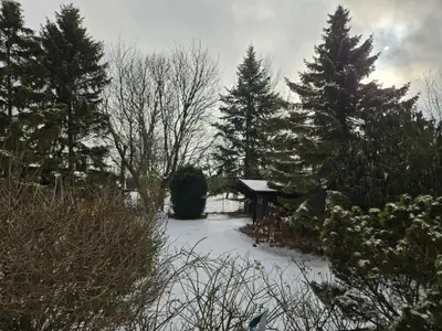 Garten im Winter