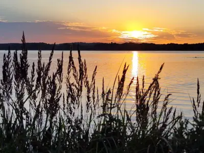 Ferienhaus für 4 Personen (30 m²) in Basedow 9/10