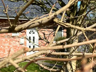 Ferienhaus für 6 Personen (105 m²) in St. Peter-Ording 2/10