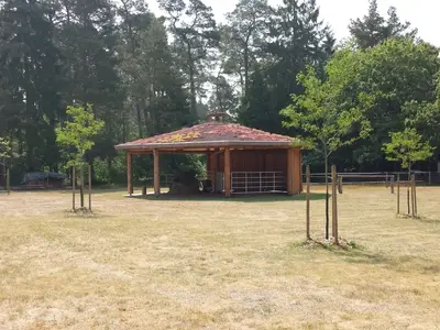 Ferienhaus für 15 Personen (250 m²) in Wooster Teerofen 10/10