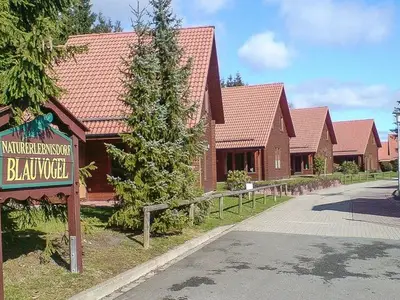 Ferienhaus für 5 Personen (65 m²) in Hasselfelde 2/10