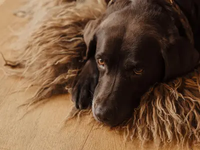 251126_MountainChalet-35-HIGH